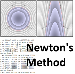 Newton's Method Simulation